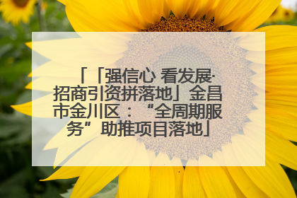 「强信心 看发展·招商引资拼落地」金昌市金川区：“全周期服务”助推项目落地