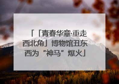 「青春华章·重走西北角」博物馆丑东西为“神马”爆火