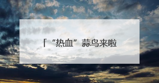 “热血”蒜鸟来啦！迎接世界献血者日，武汉用顶流IP致敬热血英雄