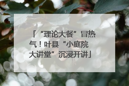 “理论大餐”冒热气！叶县“小庭院 大讲堂”沉浸开讲