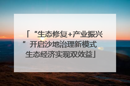“生态修复+产业振兴”开启沙地治理新模式 生态经济实现双效益