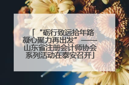 “砺行致远拾年路 凝心聚力再出发”——山东省注册会计师协会系列活动在泰安召开