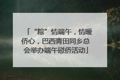 “粽”情端午，情暖侨心，巴西青田同乡总会举办端午慰侨活动