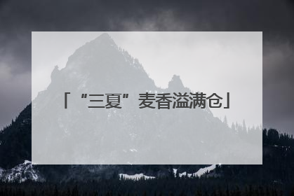 “三夏”麦香溢满仓