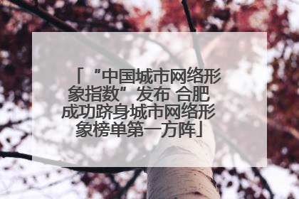 “中国城市网络形象指数”发布 合肥成功跻身城市网络形象榜单第一方阵