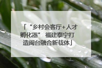 “乡村会客厅+人才孵化器” 福建泰宁打造闽台融合新载体