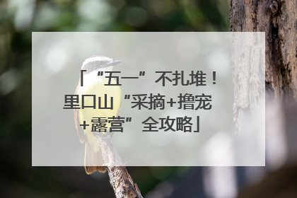 “五一”不扎堆！里口山“采摘+撸宠+露营”全攻略