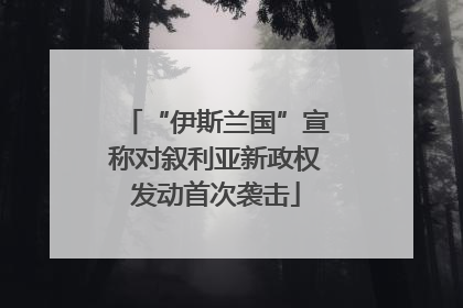 “伊斯兰国”宣称对叙利亚新政权发动首次袭击