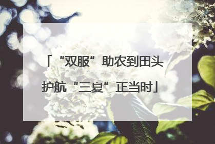 “双服”助农到田头 护航“三夏”正当时