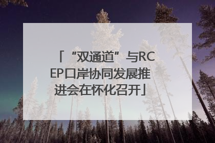 “双通道”与RCEP口岸协同发展推进会在怀化召开