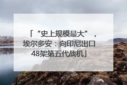 “史上规模最大”，埃尔多安：向印尼出口48架第五代战机