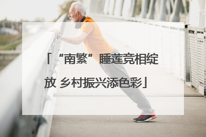 “南繁”睡莲竞相绽放 乡村振兴添色彩