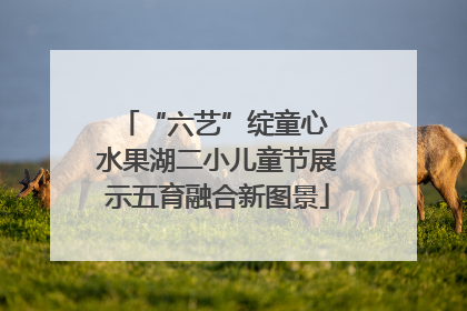 “六艺”绽童心 水果湖二小儿童节展示五育融合新图景