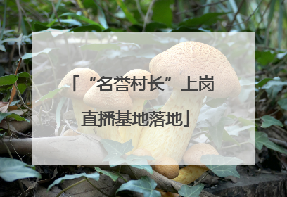 “名誉村长”上岗 直播基地落地