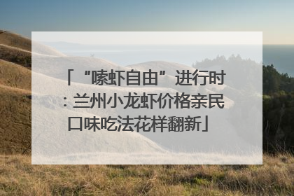 “嗦虾自由”进行时：兰州小龙虾价格亲民口味吃法花样翻新