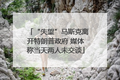 “失望”马斯克离开特朗普政府 媒体称当天两人未交谈