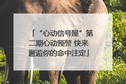 “心动信号屋”第二期心动预警 快来邂逅你的命中注定