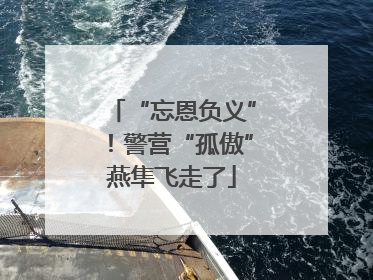 “忘恩负义”！警营“孤傲”燕隼飞走了