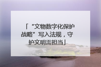 “文物数字化保护战略”写入法规，守护文明需担当