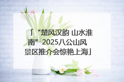 “楚风汉韵 山水淮南”2025八公山风景区推介会惊艳上海