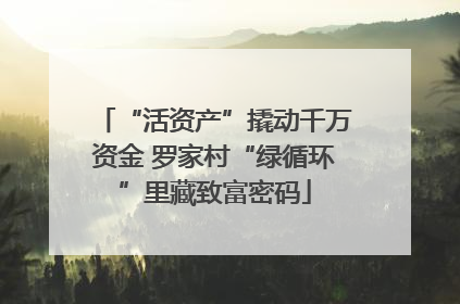 “活资产”撬动千万资金 罗家村“绿循环”里藏致富密码