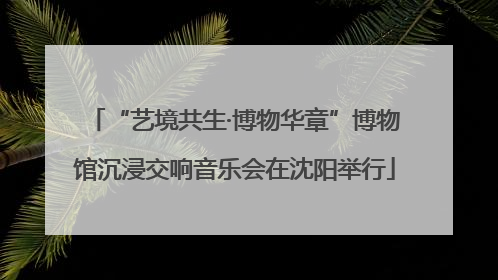 “艺境共生·博物华章”博物馆沉浸交响音乐会在沈阳举行