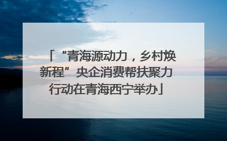 “青海源动力，乡村焕新程”央企消费帮扶聚力行动在青海西宁举办