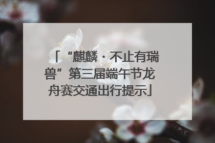 “麒麟・不止有瑞兽”第三届端午节龙舟赛交通出行提示