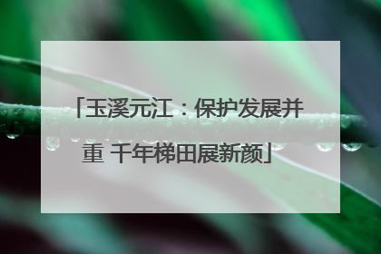 玉溪元江：保护发展并重 千年梯田展新颜