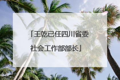 王乾已任四川省委社会工作部部长