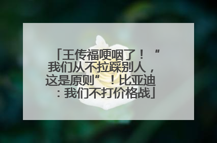 王传福哽咽了！“我们从不拉踩别人，这是原则”！比亚迪：我们不打价格战