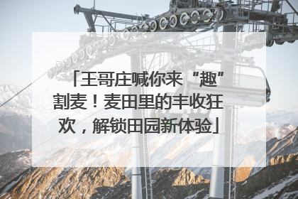 王哥庄喊你来“趣”割麦！麦田里的丰收狂欢，解锁田园新体验