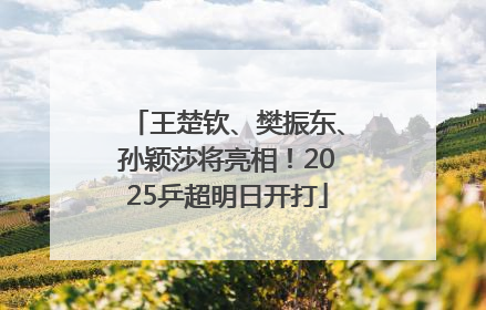 王楚钦、樊振东、孙颖莎将亮相！2025乒超明日开打