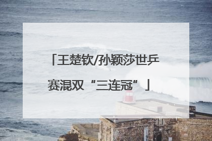 王楚钦/孙颖莎世乒赛混双“三连冠”
