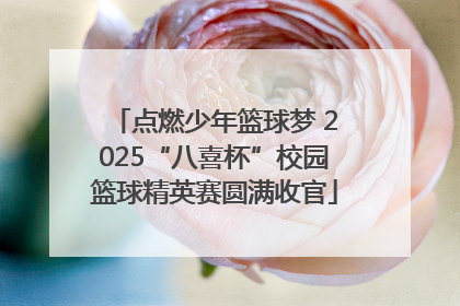 点燃少年篮球梦 2025“八喜杯”校园篮球精英赛圆满收官