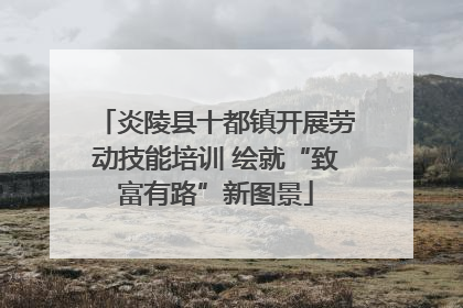 炎陵县十都镇开展劳动技能培训 绘就“致富有路”新图景