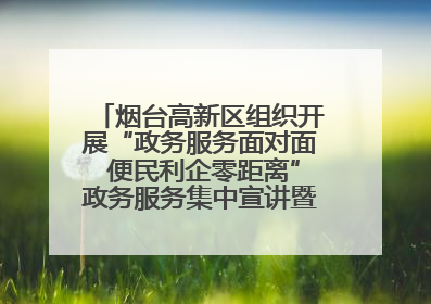 烟台高新区组织开展“政务服务面对面 便民利企零距离”政务服务集中宣讲暨政府开放月活动