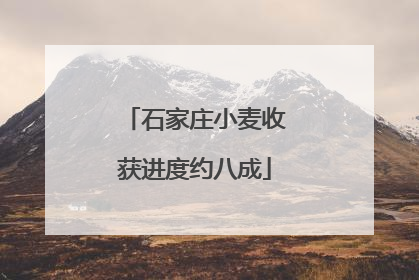 石家庄小麦收获进度约八成