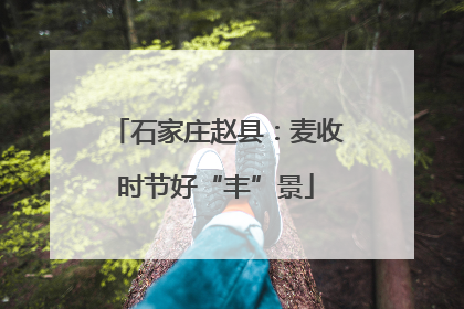 石家庄赵县：麦收时节好“丰”景