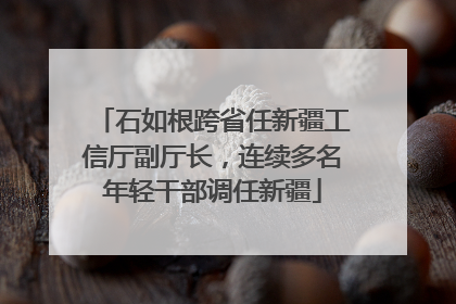 石如根跨省任新疆工信厅副厅长，连续多名年轻干部调任新疆