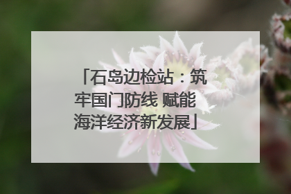 石岛边检站：筑牢国门防线 赋能海洋经济新发展