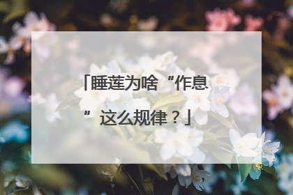睡莲为啥“作息”这么规律？