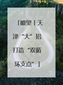 瞭望丨天津“大”招打造“双循环支点”