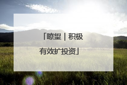 瞭望｜积极有效扩投资
