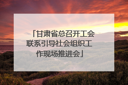甘肃省总召开工会联系引导社会组织工作现场推进会