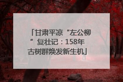 甘肃平凉“左公柳”复壮记：158年古树群焕发新生机