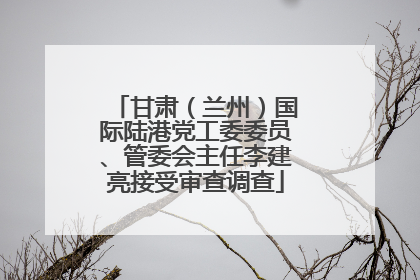 甘肃（兰州）国际陆港党工委委员、管委会主任李建亮接受审查调查