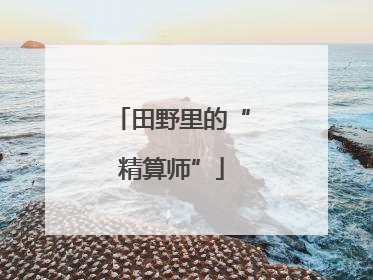 田野里的“精算师”