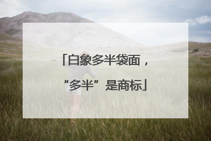 白象多半袋面，“多半”是商标
