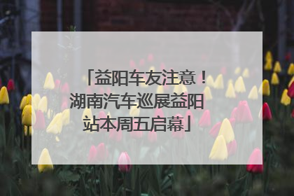 益阳车友注意！湖南汽车巡展益阳站本周五启幕